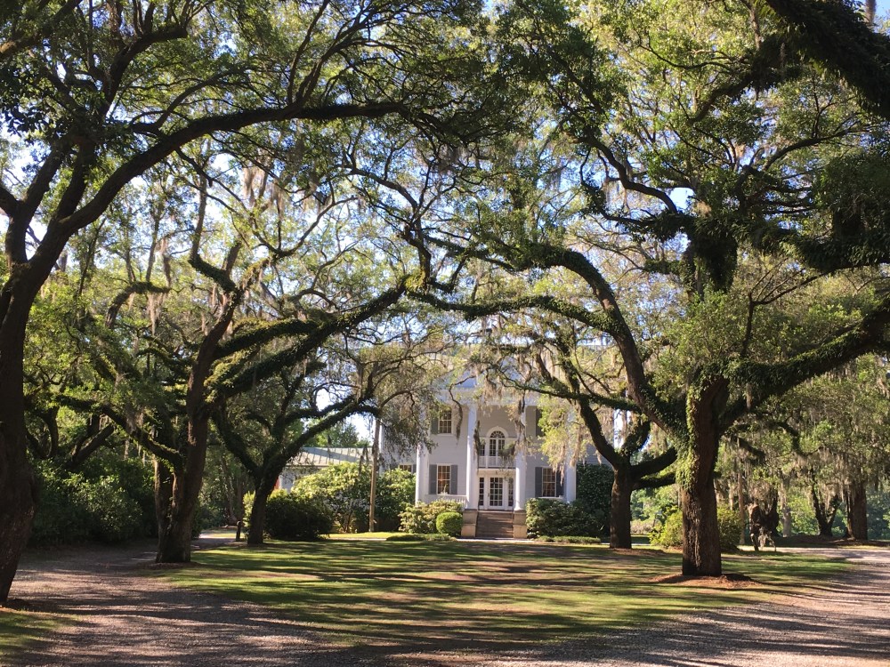 mcleod plantation
