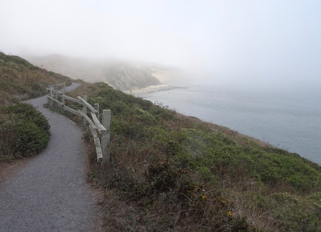 Point Reyes seashore