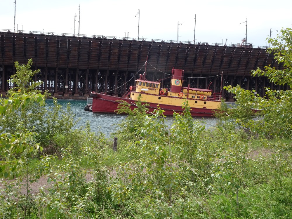 8B06FF31-0823-48D1-A906-EF0424938142