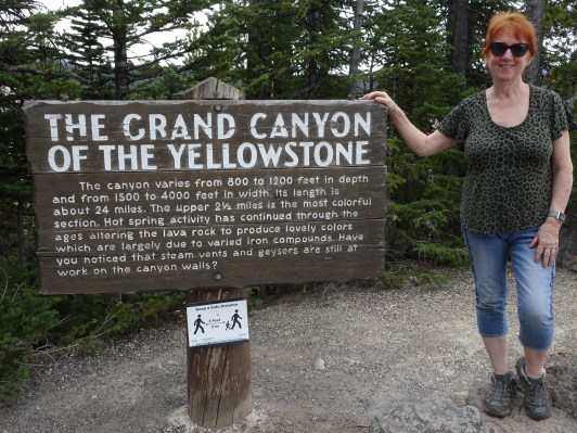 009233CA-914C-4B6F-92DE-F91A97115D40