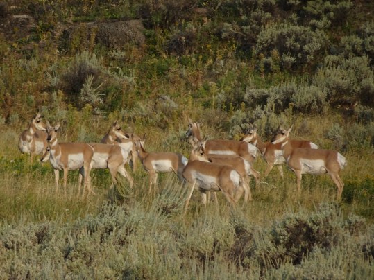 021DB798-E416-4168-8993-DF8E08F72429