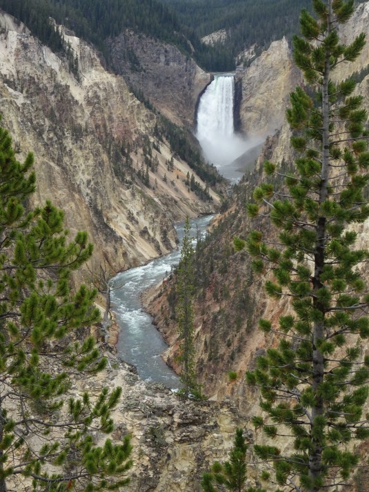 316D430E-0539-4C74-9EEB-A1DE918AAC26