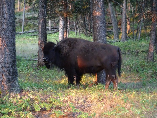 3F8C09A6-CC39-4432-964F-0E2625EF4067