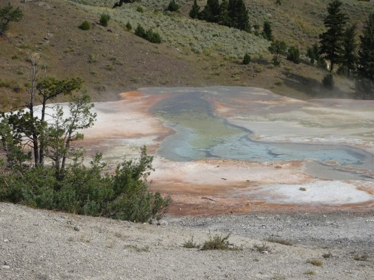 44ECDA71-0849-465A-B428-7D476D07EC56