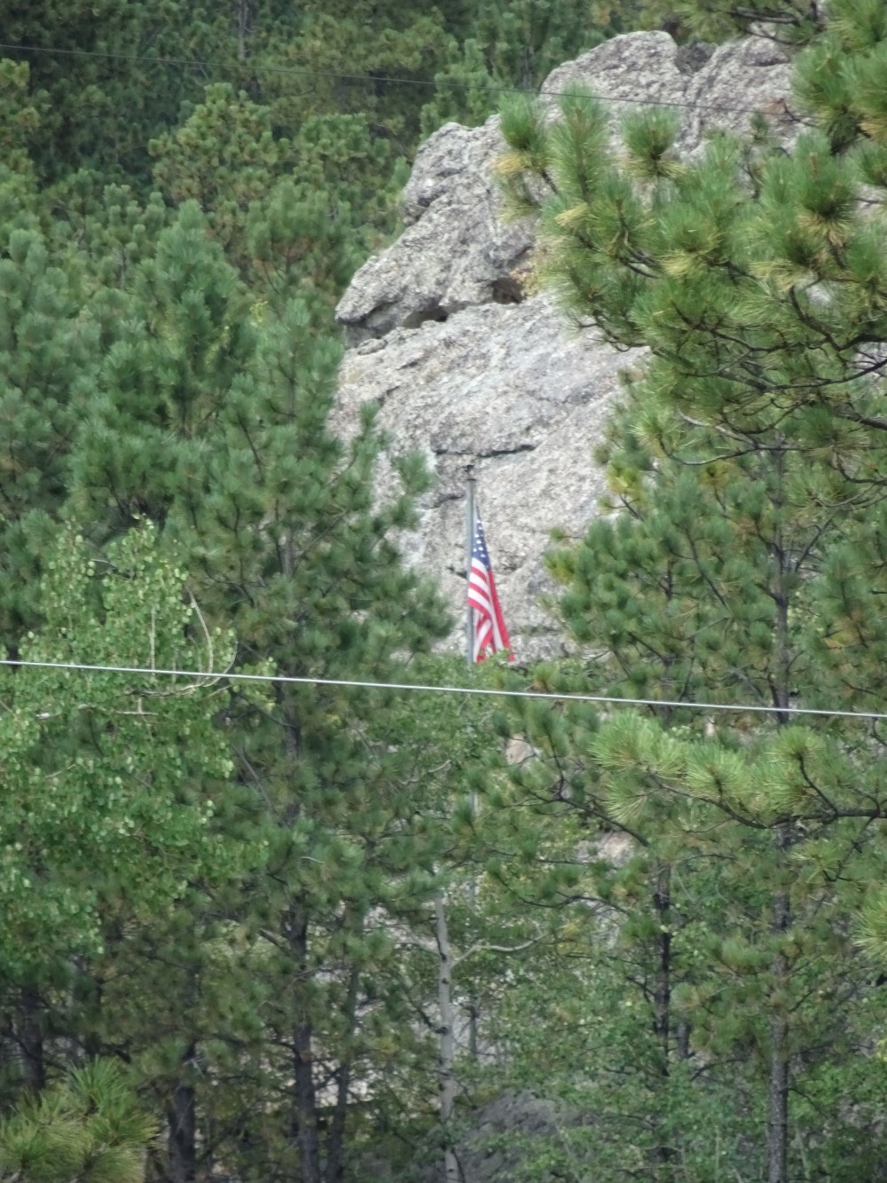 491FB435-4558-4216-A051-E4703FBA89B8