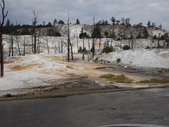 528ACBBA-D623-409D-8B22-04512ADF226D