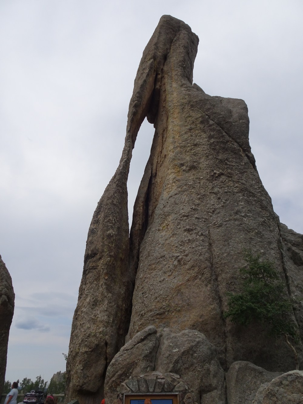 647DEA77-D023-4017-8101-34A749C74014