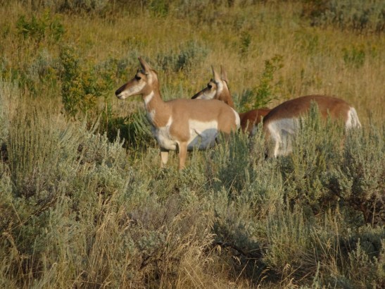 65A0EF23-9B31-4256-9DB6-82D6A689CA6F