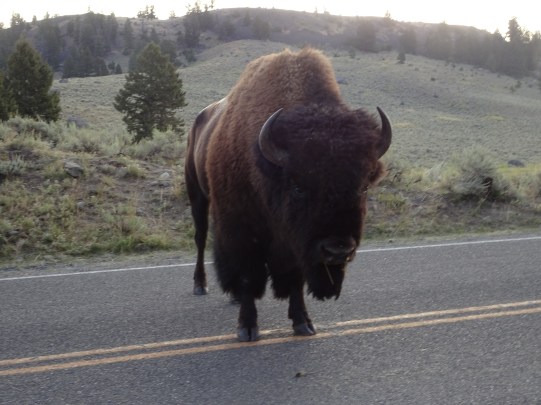 7A27630E-34AA-420C-B485-B0D5127E0EF7