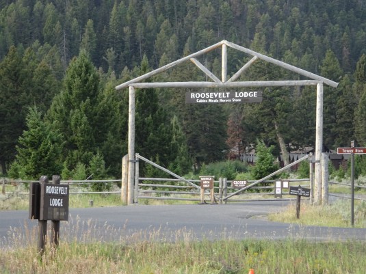 88B31992-3E74-4398-92EE-6A16B85D12A9