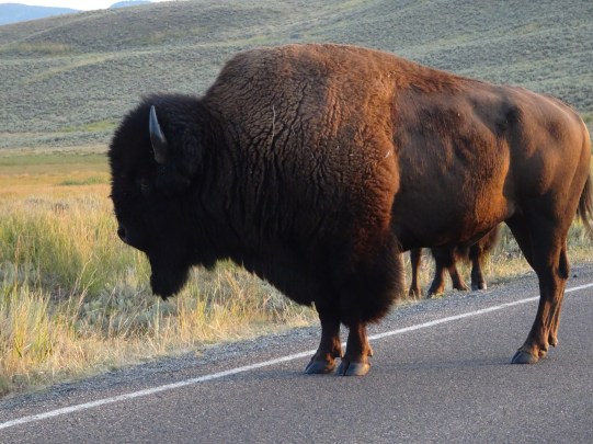 8FD106FC-7CDB-40E0-A42C-7145C9AF21B7