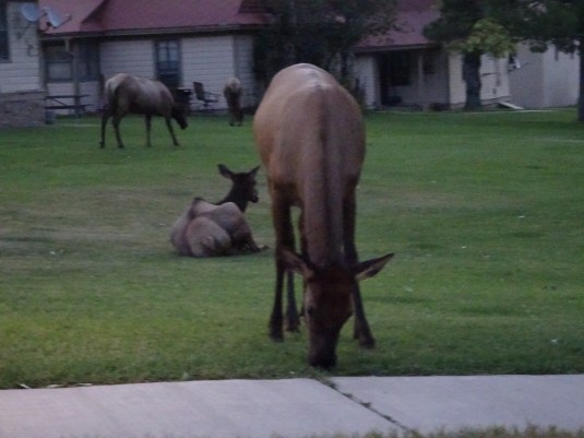 918DE247-7F78-4947-89AA-F08FEBE75BEB