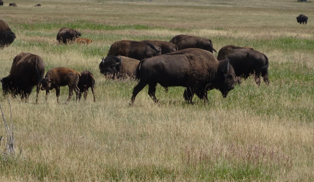 9BA774E4-D328-4CE8-88CE-96B0567D797F_1_201_a