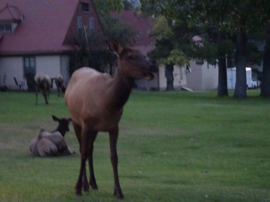 A66FF83D-8D49-4E58-9DE8-840B6FED65BA