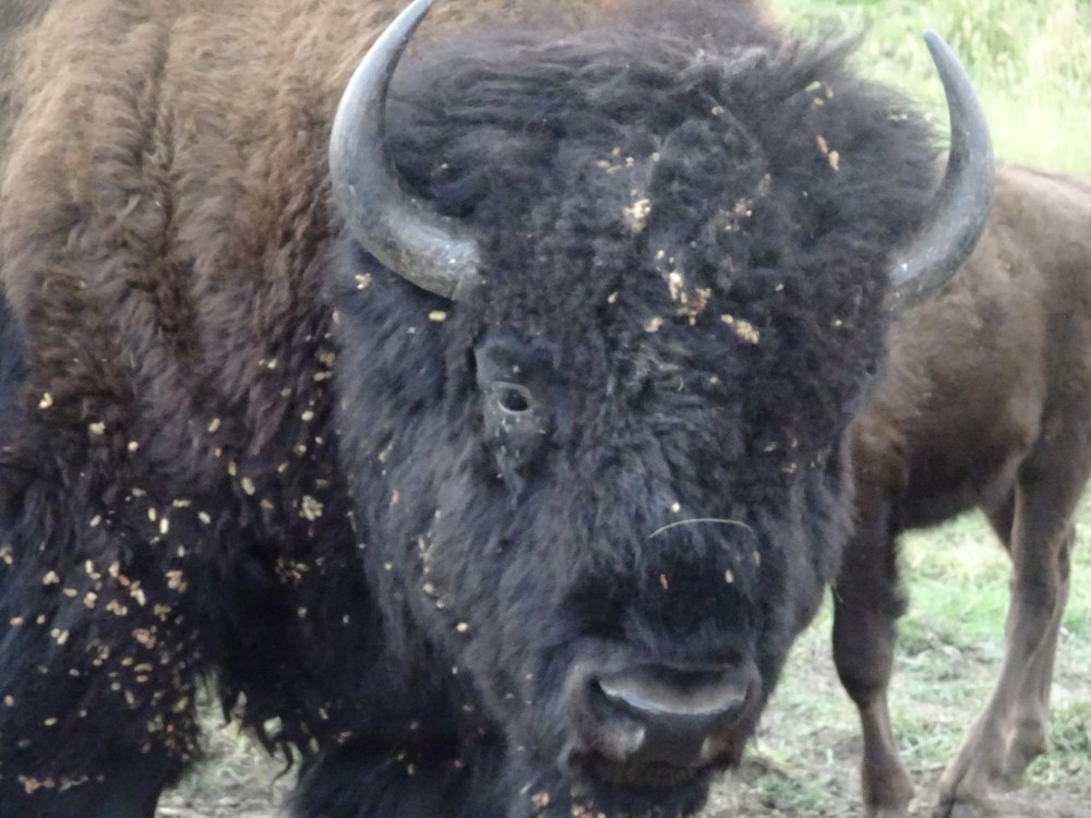 ABAA5B57-F0BF-4604-A69B-62145711CD7D