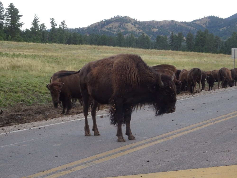 B6795734-F0BE-4A27-B9B2-28ACD8014FF3