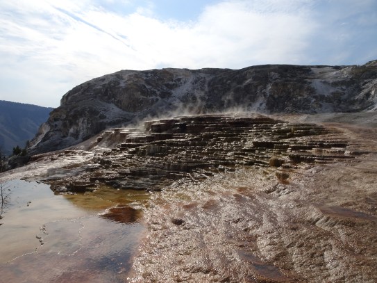 BA7E6D37-B2CE-4087-9936-EB891092F9D0