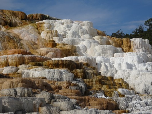 D1F58454-4140-498F-8BB5-C3F1CFBEB418