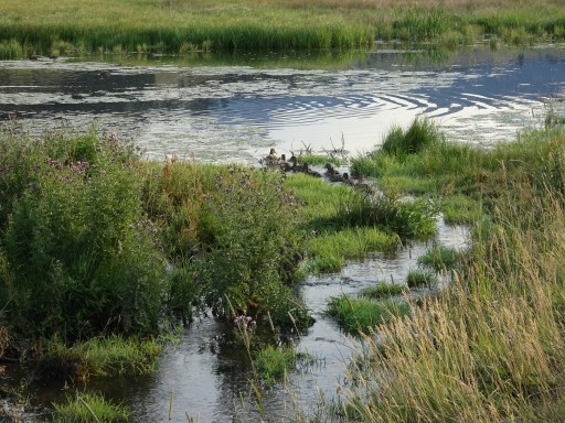 DBC9649D-A1C8-4A7E-8A01-31C48939A59D