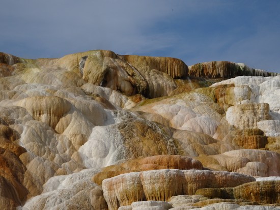 DC62BC43-B31F-4110-A66E-C08C3FDAFB11